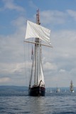 wylde swan 110712 1565 tship11